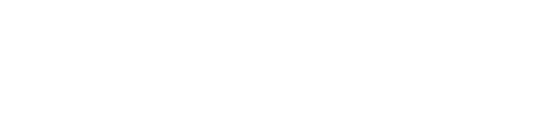 NetDNS logo dark